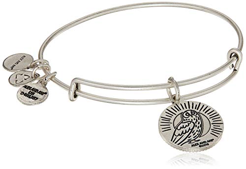 Alex and Ani Occupations Expandable Bangle for Women, Teacher Charm, Rafaelian Silver Finish, 2 to 3.5 in