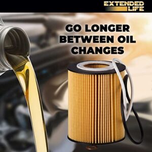 PG8161EX Extended Life Oil Filter up to 10,000 Miles | Fits 2023-13 various models of Volkswagen, Audi, Porsche, Seat