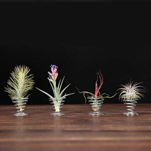 20 Pack Air Plant Stand Container Tillandsia Holder, Fineder Stainless Steel Wire Stand Plant Display Racks - Silver