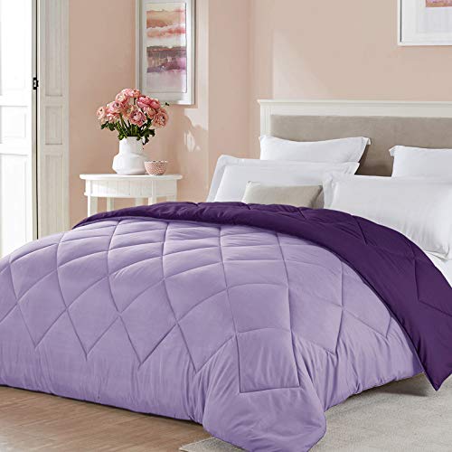 Seward Park Twin XL Size Reversible Comforter Girls Bedding Lightweight Microfiber Fill All Season Fall Warm Bedspread Blanket for College Dorm Lavender Plum/Light Dark Purple