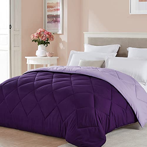 Seward Park Twin XL Size Reversible Comforter Girls Bedding Lightweight Microfiber Fill All Season Fall Warm Bedspread Blanket for College Dorm Lavender Plum/Light Dark Purple
