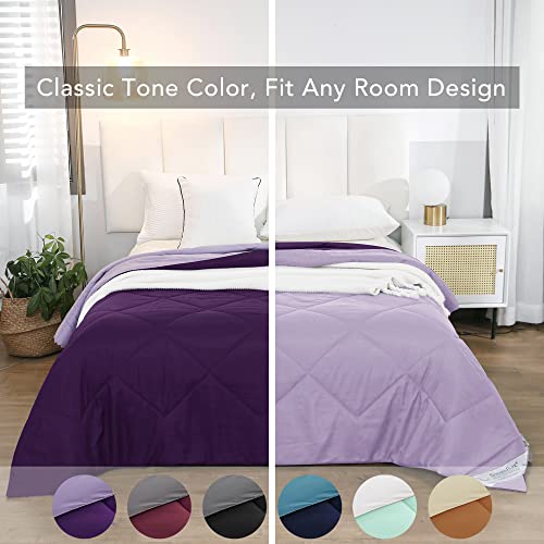 Seward Park Twin XL Size Reversible Comforter Girls Bedding Lightweight Microfiber Fill All Season Fall Warm Bedspread Blanket for College Dorm Lavender Plum/Light Dark Purple