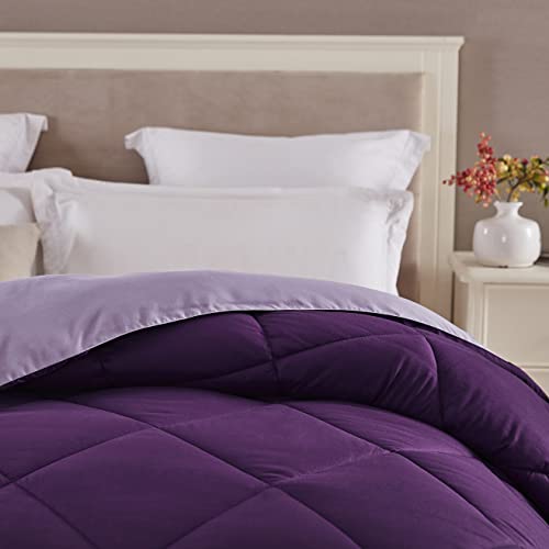 Seward Park Twin XL Size Reversible Comforter Girls Bedding Lightweight Microfiber Fill All Season Fall Warm Bedspread Blanket for College Dorm Lavender Plum/Light Dark Purple