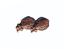 2 oak leaf cluster 5/16" bronze ribbon device