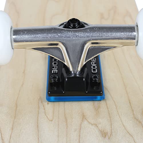 Dime Bag Skateboard Bushings (for 2 Trucks) + Blue Riser Pads and 1" Phillips Hardware (98A Black)