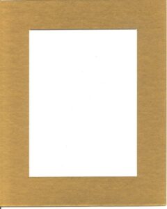 pack of 5 11x14 gold picture mats with white core for 8x10 pictures