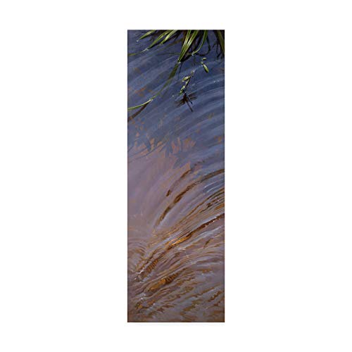 Trademark Fine Art, 8x24-Inch Water Ripples by Michael Jackson