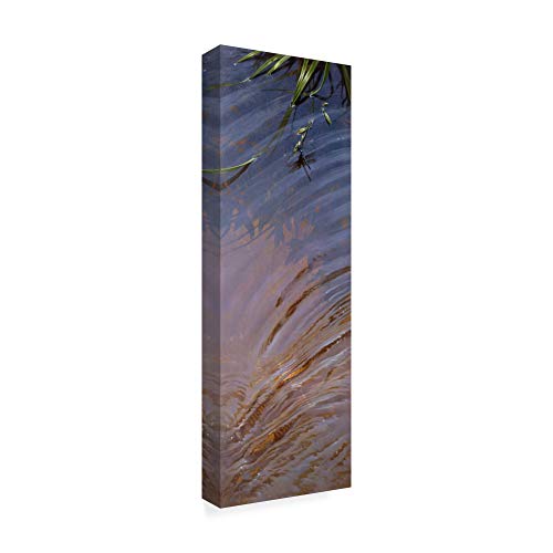 Trademark Fine Art, 8x24-Inch Water Ripples by Michael Jackson