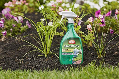 Ortho 0438580 Grass B Gon Garden Grass Killer Ready-to-Use, 24-Ounce (3)