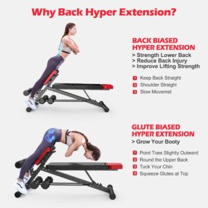 FINER FORM Multi-Functional Adjustable Weight Bench for Total Body Workout – Hyper Back Extension, Roman Chair, Ab Sit up Bench, Decline Bench, Flat Bench. Great Equipment