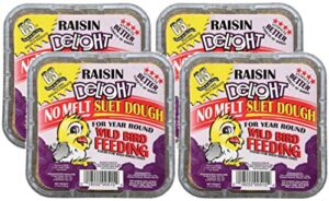 c & s 4 pack of raisin delight suet for wild birds, 11.75-ounces each4