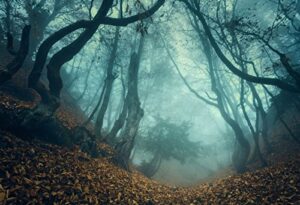 leowefowa misty forest halloween theme backdorp 10x8ft vinyl photography backgroud autumn landscape fairy wonderland outdoor cold morning halloween holiday child adult photo shoot…