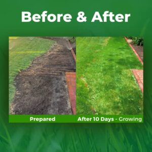 Growtrax Biodegradable Grass Seed Mat - 100 SQFT Bermuda Rye - Grass Seed and Fertilizer for Lawns, Dog Patches & Shade - Just Roll, Water & Grow - No Fake or Artificial Grass