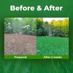 Growtrax Biodegradable Grass Seed Mat - 100 SQFT Bermuda Rye - Grass Seed and Fertilizer for Lawns, Dog Patches & Shade - Just Roll, Water & Grow - No Fake or Artificial Grass