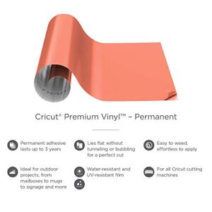 Cricut Premium Permanent Vinyl (12" x 48"), Strong Adhesive Lasts for 3 Years, UV & Water-Resistant, Perfect for Indoor-Outdoor DIY Projects, Compatible with Cricut Machines, Coral