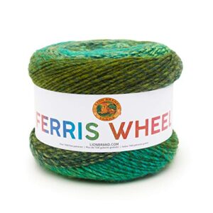 lion brand yarn ferris wheel yarn, multicolor yarn for knitting, crocheting, and crafts, 1-pack, evergreen