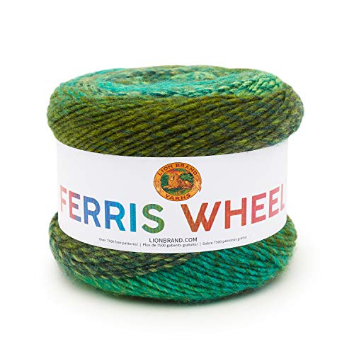 Lion Brand Yarn Ferris Wheel Yarn, Multicolor Yarn for Knitting, Crocheting, and Crafts, 1-Pack, Evergreen