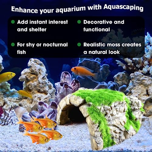 SunGrow Gecko & Ball Python Rock Cave, for Betta Fish, Hermit Crab, Shrimp, Tank Decor Ornaments, House Aquarium Hideout Décor for Aquatic Frog Pets, Resin Hideaway with Artificial Moss