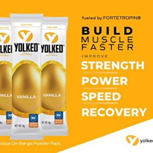 YOLKED - Clinically Tested and NSF-Certified All Natural Muscle Building Supplement - Increase Lean Muscle, Reduce Muscle Loss, and Improve Recovery with Protein’s Perfect Partner, 30 Servings