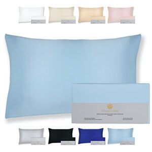 BEAUTY OF ORIENT - 25 Momme, 100% Pure Mulberry Silk Pillowcase for Hair and Skin, Natural Hypoallergenic Silk Pillow Case, Best for Beauty Body and Sleep (Queen - 20" x 30", Frosty Blue)