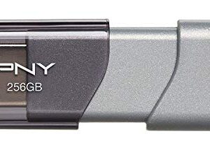 PNY 256GB USB 3.0 Flash Drive Elite Turbo Attache 3 (P-FD256GTBOP-GE) Two Pack Bundle Plus (1) Everything But Stromboli Lanyard