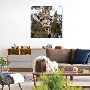 Funny Giraffe Photo on CANVAS Fine Art Print Zoo Animal Photography Children's Room Decor Ready to Hang