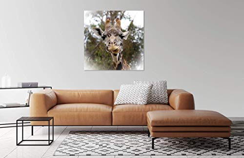 Funny Giraffe Photo on CANVAS Fine Art Print Zoo Animal Photography Children's Room Decor Ready to Hang