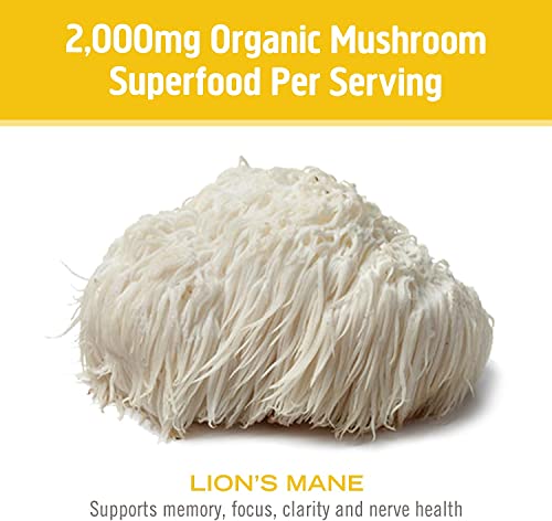 Om Mushroom Superfood Lion's Mane Mushroom Capsules Superfood Supplement, 90 Count, 30 Day Supply, Fruit Body and Mycelium Nootropic for Memory, Focus, Nerve Health and Immune Support