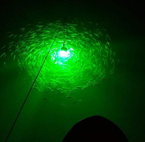 LED Night Fishing Light 12V 108 LEDs 10.8W Underwater Night Fishing Finder Light, 1080LM Green Submersible Fishing Attracting with 5M Power Cord