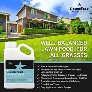 Balanced 16-4-8 Nutrient Liquid Fertilizer (1 Gallon) - Premium Lawn Food, NPK with Added Seaweed Extract, Treats Common Deficiencies, Safe for All Grass Types