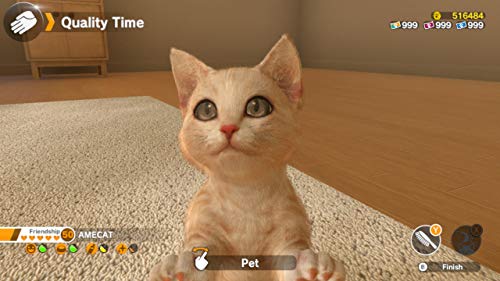 Little Friends: Dogs & Cats - Nintendo Switch