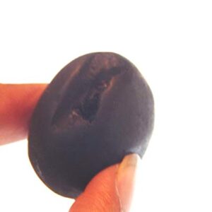 phoenix888 Adwaitya Dashavatar Shaligram Nepal Kali Gandaki