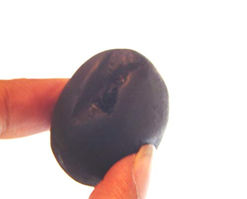 phoenix888 Adwaitya Dashavatar Shaligram Nepal Kali Gandaki