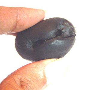 phoenix888 Sacred Adwaitya Shweta Gadadhar Pandit Shaligram Nepal Kali Gandaki