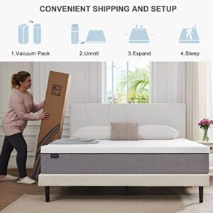 S SECRETLAND Queen Mattress, 12 inch Gel Memory Foam Mattress with CertiPUR-US Bed Mattress in a Box for Sleep Cooler & Pressure Relief, Medium Firm Queen Size 60" x 80"