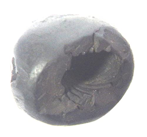 phoenix888 Kurma Laxmi Navnidhi Purnachakra Purnagarbha Shaligram