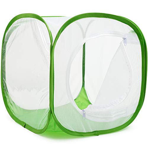 RESTCLOUD Insect and Butterfly Habitat Cage Terrarium Pop-up 12 X 12 X 12 Inches, Polyester Bottom for Easier Clean