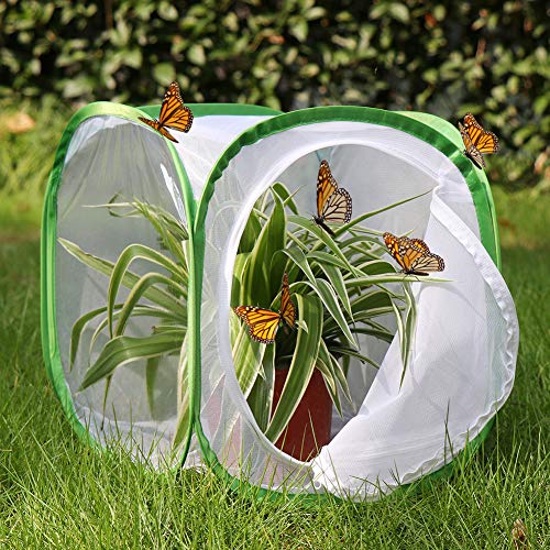 RESTCLOUD Insect and Butterfly Habitat Cage Terrarium Pop-up 12 X 12 X 12 Inches, Polyester Bottom for Easier Clean