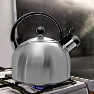 2.5 Liter Whistling Tea Kettle - Modern Stainless Steel Whistling Tea Pot for Stovetop with Cool Grip Ergonomic Handle (Stainless Steel)