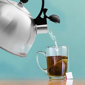 2.5 Liter Whistling Tea Kettle - Modern Stainless Steel Whistling Tea Pot for Stovetop with Cool Grip Ergonomic Handle (Stainless Steel)