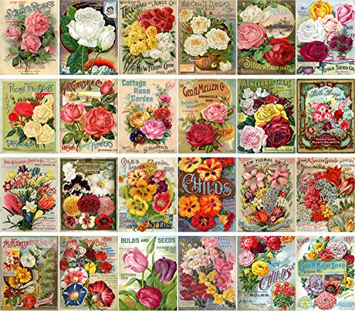 Large Stickers (24 pcs 2.5"x3.5") Flowers Vintage Seed Pockets Gardens and Roses