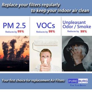 PUREBURG Replacement True HEPA Filter Kit Compatible with Honeywell 24000 50250-S, H13 Activated carbon Pre-Filter Air Clean Dust VOCs