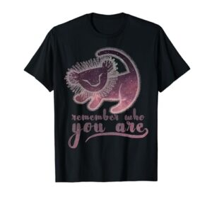 disney lion king remember who you are night sky fill t-shirt