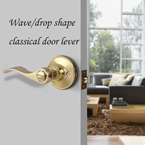 Goldentimehardware Privacy Lever Door Handle [Thumb Turn Lock on The Inside] for Bedroom or Bathroom with Polished Brass Finish, Reversible for Right & Left Side,Ware Door Lever Interior Door Lock