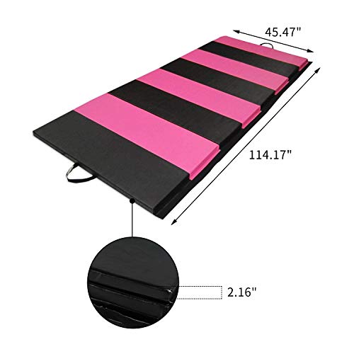 ZENOVA Gymnastics Mat 4'x10'x2'' Foldable Tumbling Mat Gym Exercise Mat for Stretching Aerobics Yoga Martial Arts