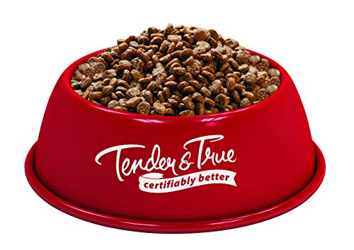Tender & True Salmon & Sweet Potato Recipe Cat Food, 7lb