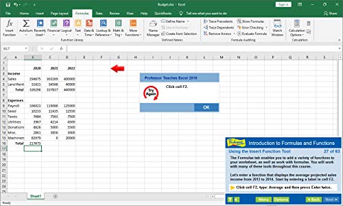 Professor Teaches Office 2019 & Windows 10 - Training Software for Microsoft Office & Windows 10 Includes Interactive Training for Word, Excel, PowerPoint, Outlook, Access & Publisher & Windows 10