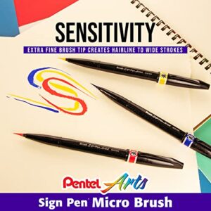 Pentel Arts Sign Pen Micro Brush Tip, Assorted Colors (A/B/C/D/E/F/G/N/P/S/V/Y), 12-PK Plastic Box (SESF30CPC12)