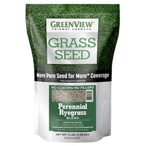 greenview fairway formula grass seed perennial ryegrass blend - 3 lb. bag
