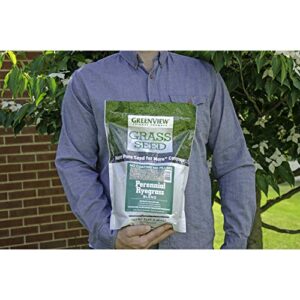 Greenview Fairway Formula Grass Seed Perennial Ryegrass Blend - 3 lb. Bag